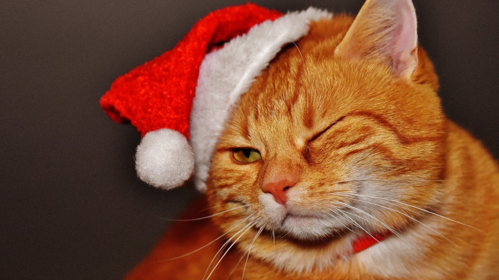 How to be hyper-decisive